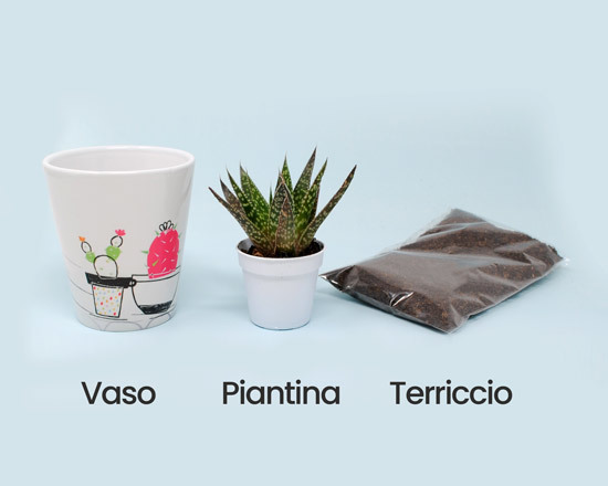 Pianta con vaso personalizzato 